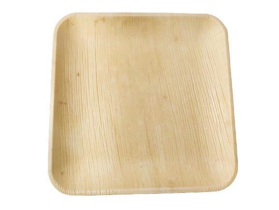 Palm Leaf Square Plates 10" Inch (Set of 25/50/100)